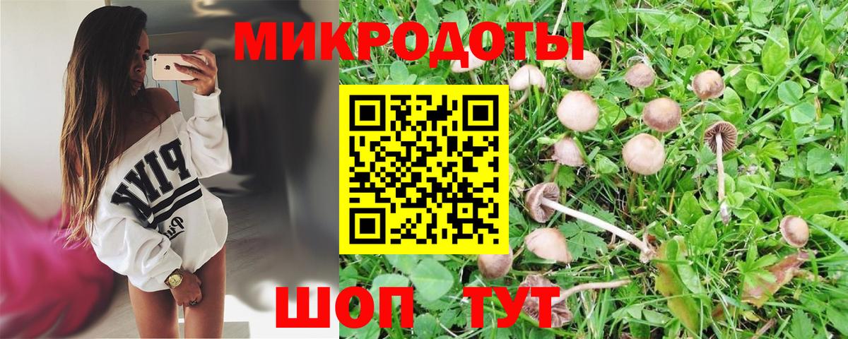 Галлюциногенные грибы прущие грибы Якутск